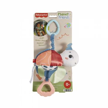 Jucarie de agatat broscuta testoasa Fisher Price Planet Friends